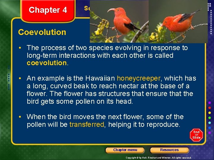 Chapter 4 Section 2 Evolution Coevolution • The process of two species evolving in