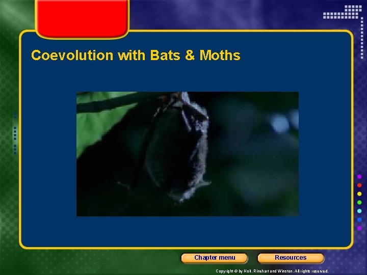 Coevolution with Bats & Moths Chapter menu Resources Copyright © by Holt, Rinehart and