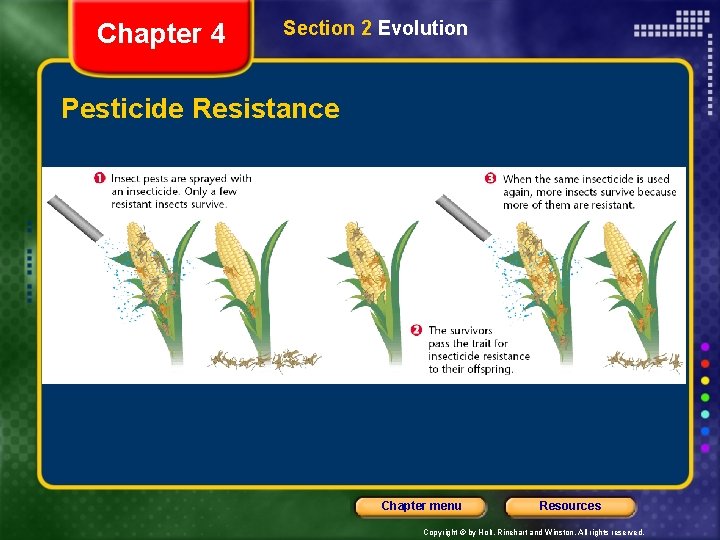 Chapter 4 Section 2 Evolution Pesticide Resistance Chapter menu Resources Copyright © by Holt,