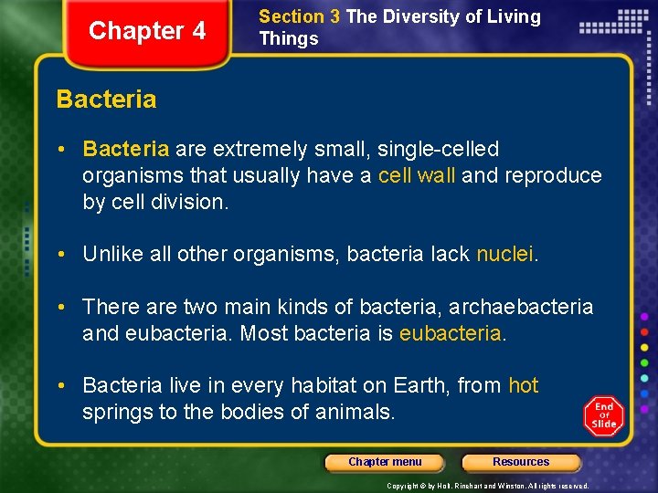 Chapter 4 Section 3 The Diversity of Living Things Bacteria • Bacteria are extremely