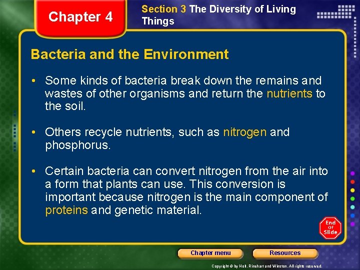 Chapter 4 Section 3 The Diversity of Living Things Bacteria and the Environment •