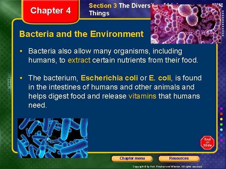 Chapter 4 Section 3 The Diversity of Living Things Bacteria and the Environment •