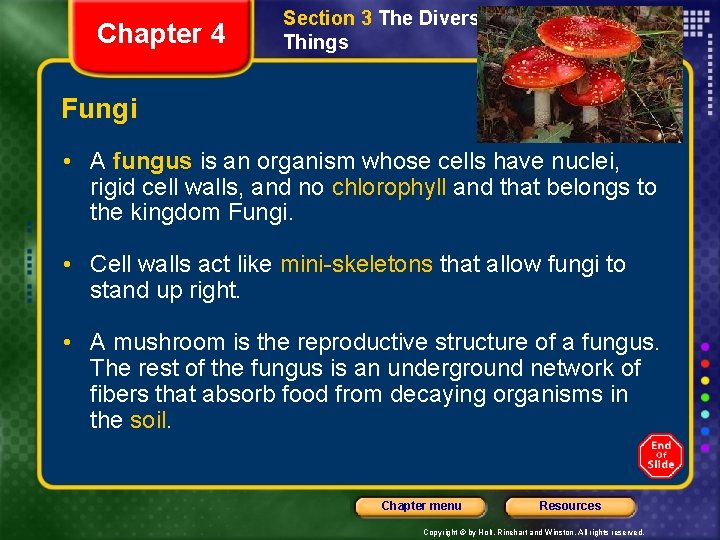 Chapter 4 Section 3 The Diversity of Living Things Fungi • A fungus is