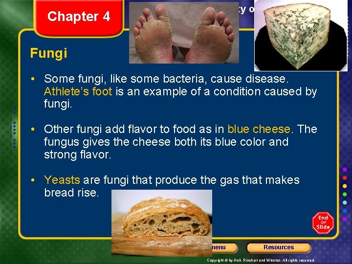 Chapter 4 Section 3 The Diversity of Living Things Fungi • Some fungi, like