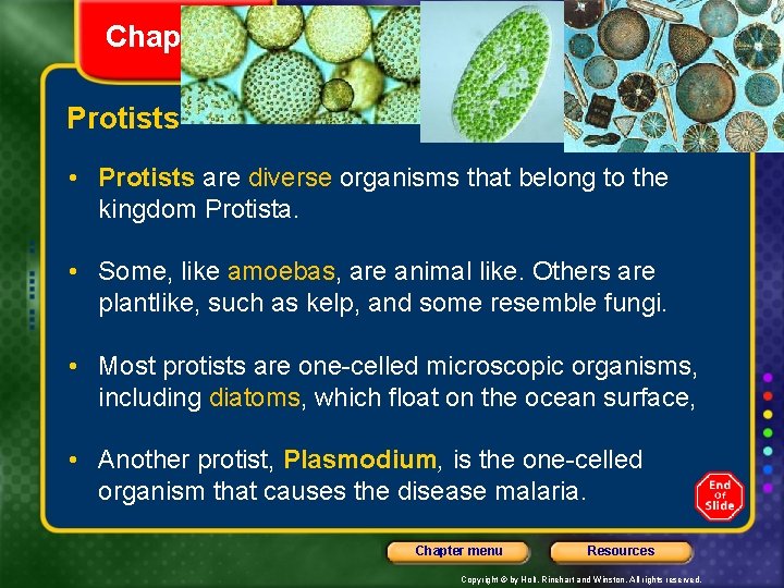 Chapter 4 Section 3 The Diversity of Living Things Protists • Protists are diverse
