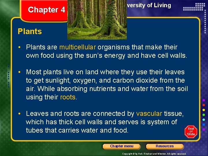 Chapter 4 Section 3 The Diversity of Living Things Plants • Plants are multicellular