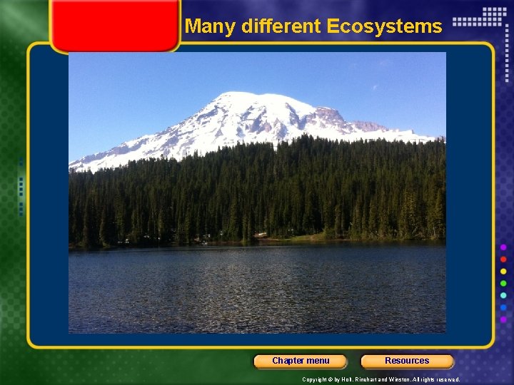 Many different Ecosystems Chapter menu Resources Copyright © by Holt, Rinehart and Winston. All