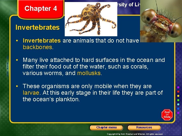 Chapter 4 Section 3 The Diversity of Living Things Invertebrates • Invertebrates are animals