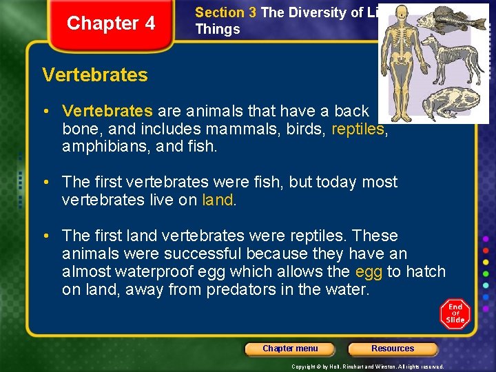 Chapter 4 Section 3 The Diversity of Living Things Vertebrates • Vertebrates are animals