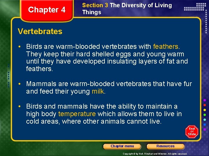 Chapter 4 Section 3 The Diversity of Living Things Vertebrates • Birds are warm-blooded