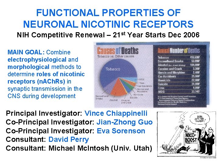 FUNCTIONAL PROPERTIES OF NEURONAL NICOTINIC RECEPTORS NIH Competitive Renewal – 21 st Year Starts