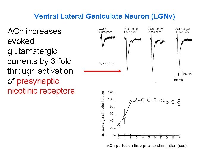 Ventral Lateral Geniculate Neuron (LGNv) ACh increases evoked glutamatergic currents by 3 -fold through