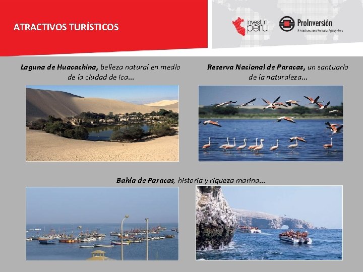 ATRACTIVOS TURÍSTICOS Laguna de Huacachina, belleza natural en medio de la ciudad de Ica…