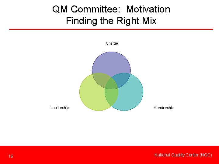 QM Committee: Motivation Finding the Right Mix Charge Leadership 16 Membership National Quality Center