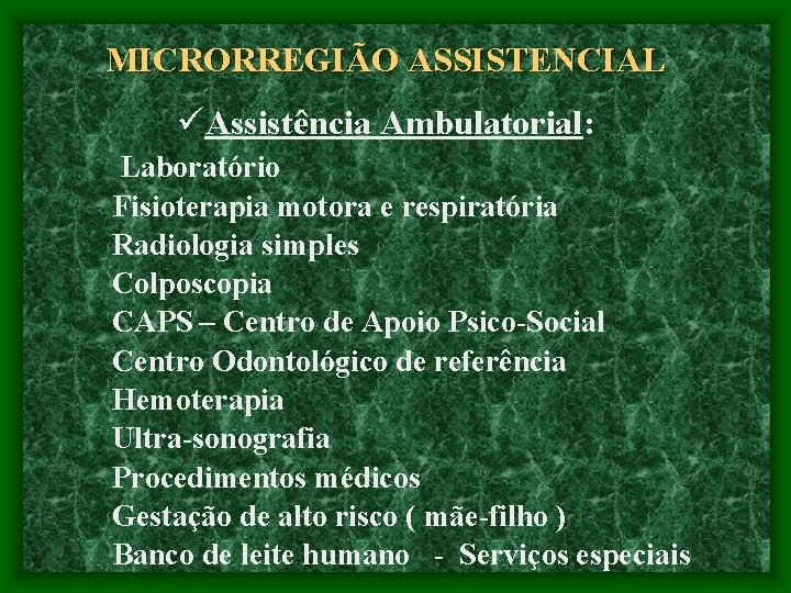 MICRORREGIÃO ASSISTENCIAL üAssistência Ambulatorial: Laboratório Fisioterapia motora e respiratória Radiologia simples Colposcopia CAPS –