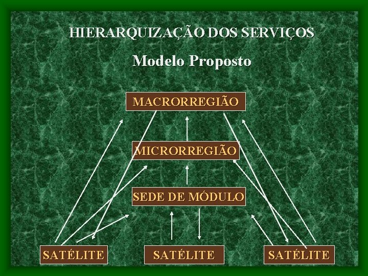HIERARQUIZAÇÃO DOS SERVIÇOS Modelo Proposto MACRORREGIÃO MICRORREGIÃO SEDE DE MÓDULO SATÉLITE 