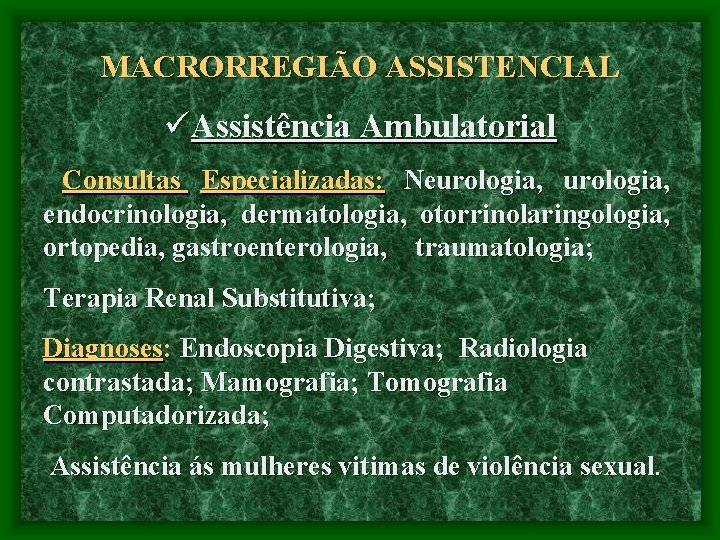 MACRORREGIÃO ASSISTENCIAL üAssistência Ambulatorial Consultas Especializadas: Neurologia, endocrinologia, dermatologia, otorrinolaringologia, ortopedia, gastroenterologia, traumatologia; Terapia