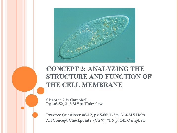 CONCEPT 2: ANALYZING THE STRUCTURE AND FUNCTION OF THE CELL MEMBRANE Chapter 7 in