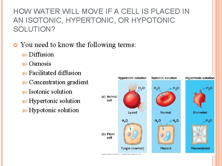 HOW WATER WILL MOVE IF A CELL IS PLACED IN AN ISOTONIC, HYPERTONIC, OR