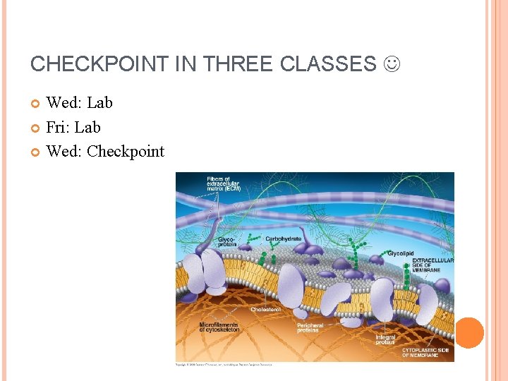 CHECKPOINT IN THREE CLASSES Wed: Lab Fri: Lab Wed: Checkpoint 