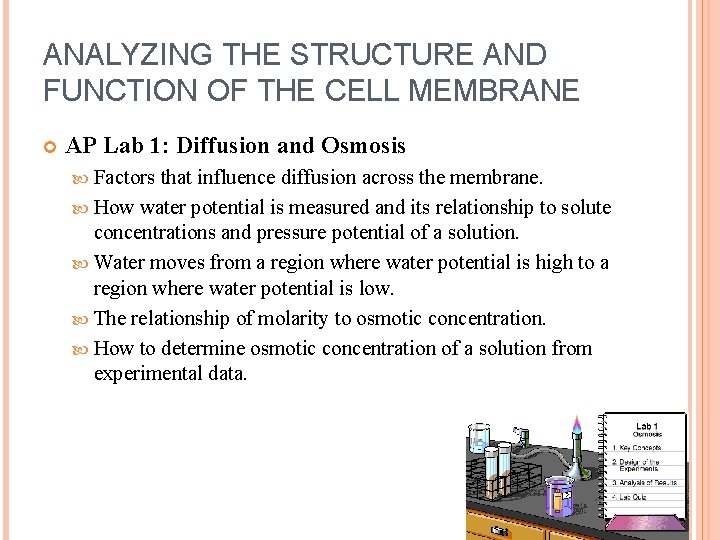 ANALYZING THE STRUCTURE AND FUNCTION OF THE CELL MEMBRANE AP Lab 1: Diffusion and