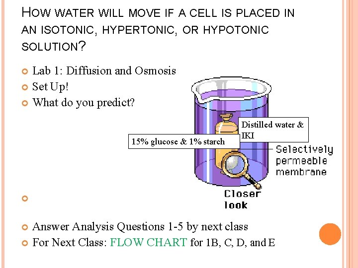 HOW WATER WILL MOVE IF A CELL IS PLACED IN AN ISOTONIC, HYPERTONIC, OR