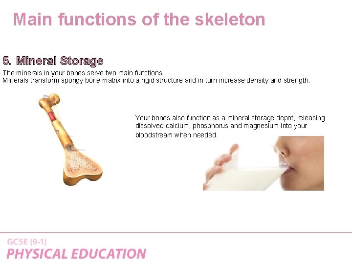 Main functions of the skeleton 5. Mineral Storage The minerals in your bones serve