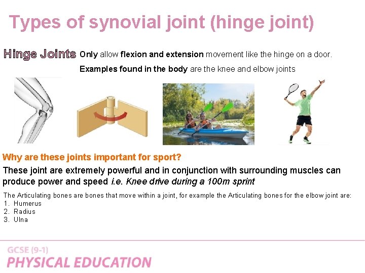 Types of synovial joint (hinge joint) Hinge Joints Only allow flexion and extension movement