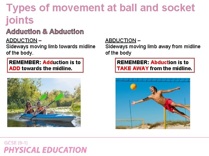 Types of movement at ball and socket joints Adduction & Abduction ADDUCTION – Sideways