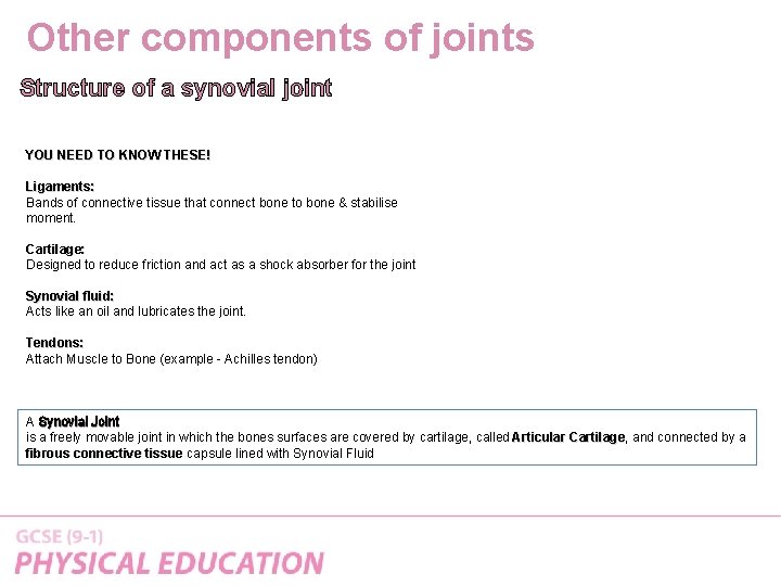 Other components of joints Structure of a synovial joint YOU NEED TO KNOW THESE!