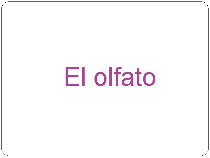 El olfato 