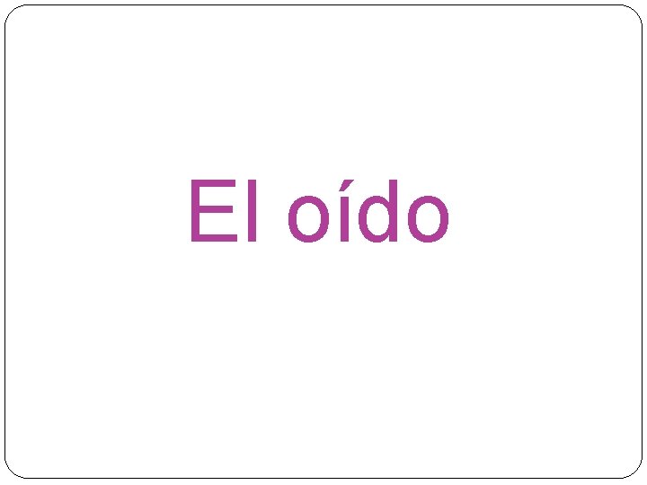 El oído El oído