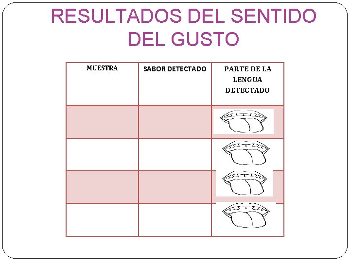RESULTADOS DEL SENTIDO DEL GUSTO MUESTRA SABOR DETECTADO PARTE DE LA LENGUA DETECTADO RESULTADOS DEL SENTIDO DEL GUSTO MUESTRA SABOR DETECTADO PARTE DE LA LENGUA DETECTADO