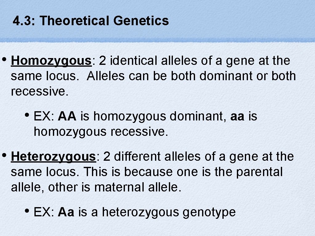 4. 3: Theoretical Genetics • Homozygous: 2 identical alleles of a gene at the