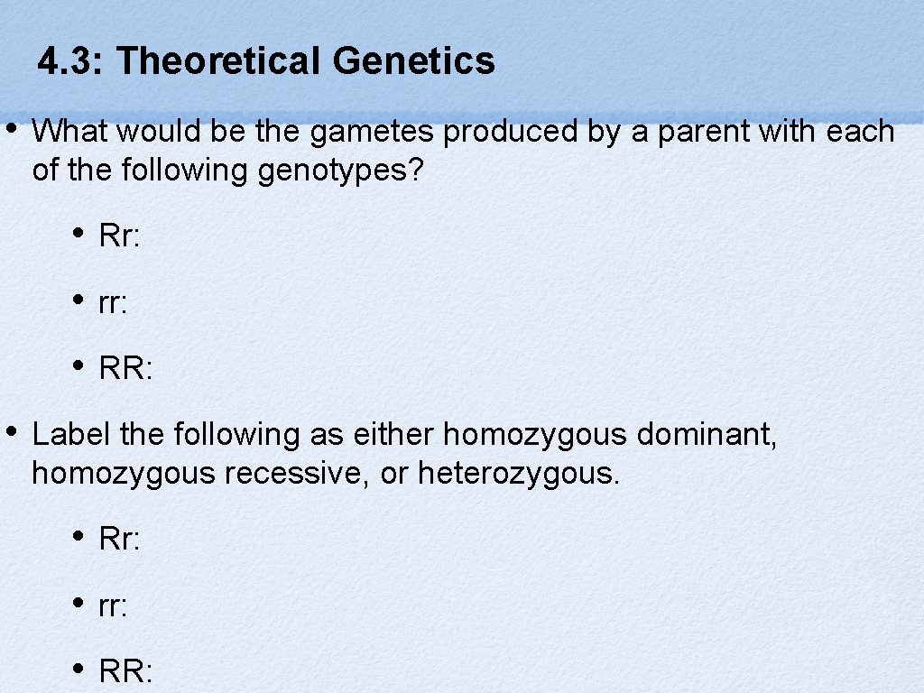 4. 3: Theoretical Genetics • • What would be the gametes produced by a