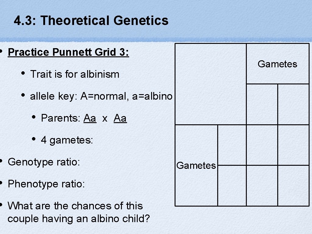  • 4. 3: Theoretical Genetics Practice Punnett Grid 3: • Trait is for