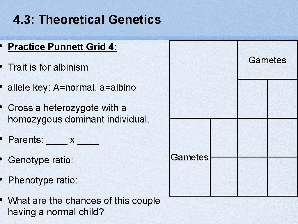  • 4. 3: Theoretical Genetics Practice Punnett Grid 4: • Trait is for