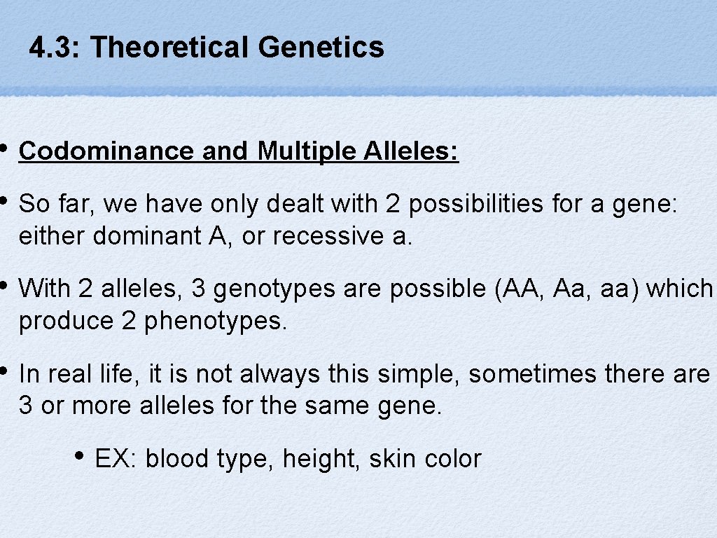 4. 3: Theoretical Genetics • Codominance and Multiple Alleles: • So far, we have