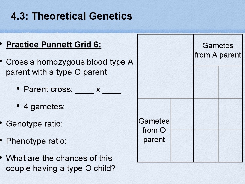 4. 3: Theoretical Genetics • Practice Punnett Grid 6: • Cross a homozygous blood