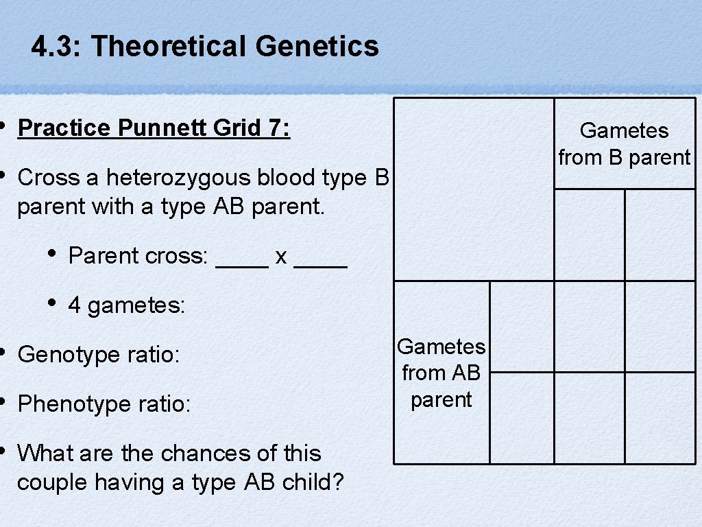 4. 3: Theoretical Genetics • Practice Punnett Grid 7: • Cross a heterozygous blood