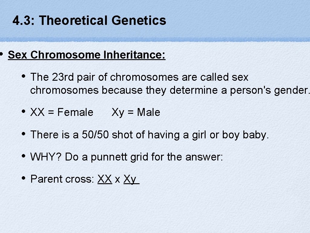  • 4. 3: Theoretical Genetics Sex Chromosome Inheritance: • The 23 rd pair