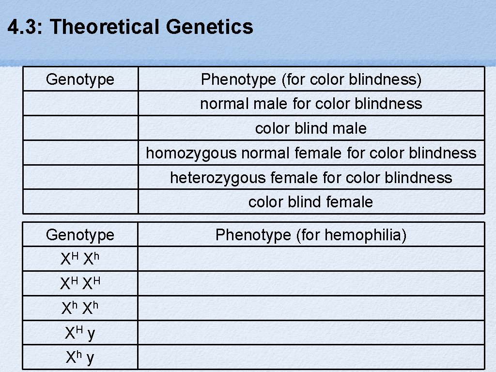 4. 3: Theoretical Genetics Genotype Phenotype (for color blindness) normal male for color blindness