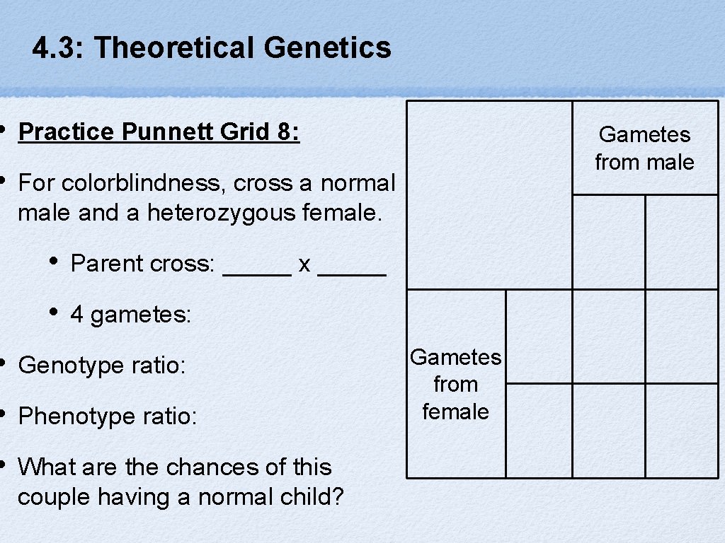 4. 3: Theoretical Genetics • Practice Punnett Grid 8: • For colorblindness, cross a