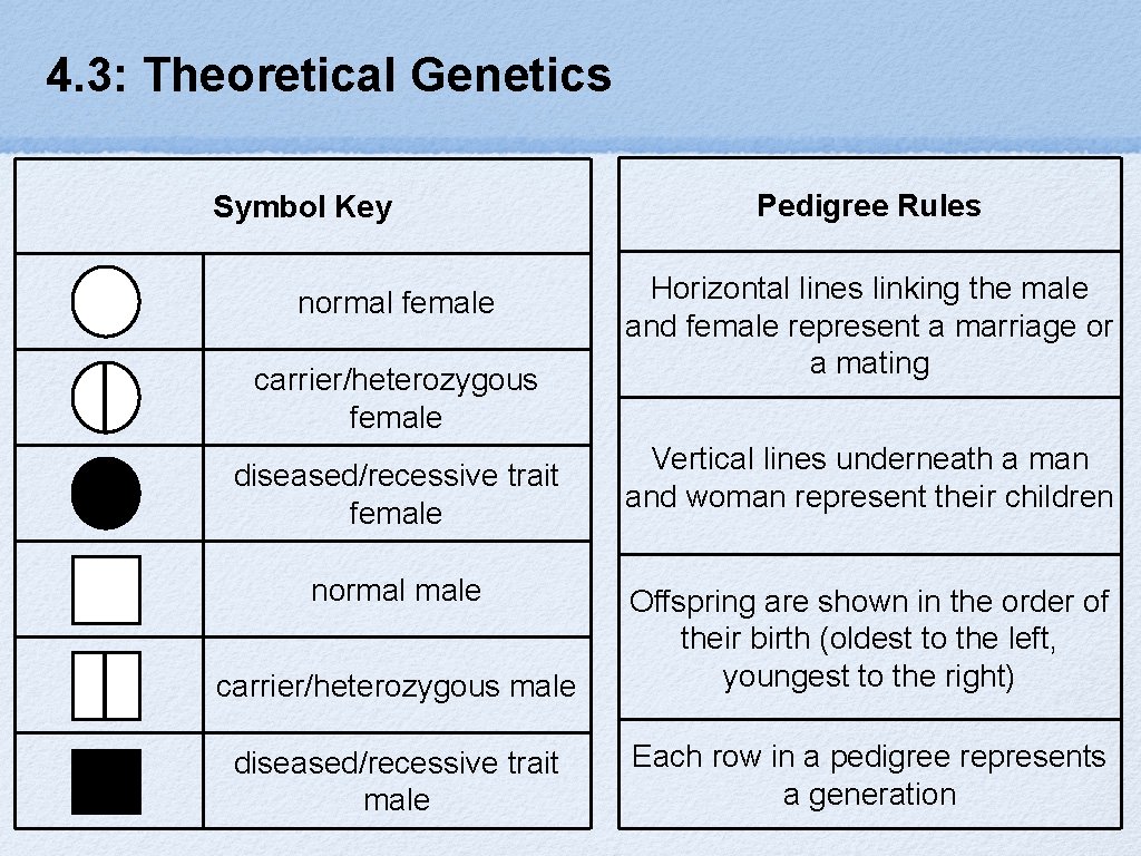 4. 3: Theoretical Genetics Symbol Key normal female carrier/heterozygous female diseased/recessive trait female normal