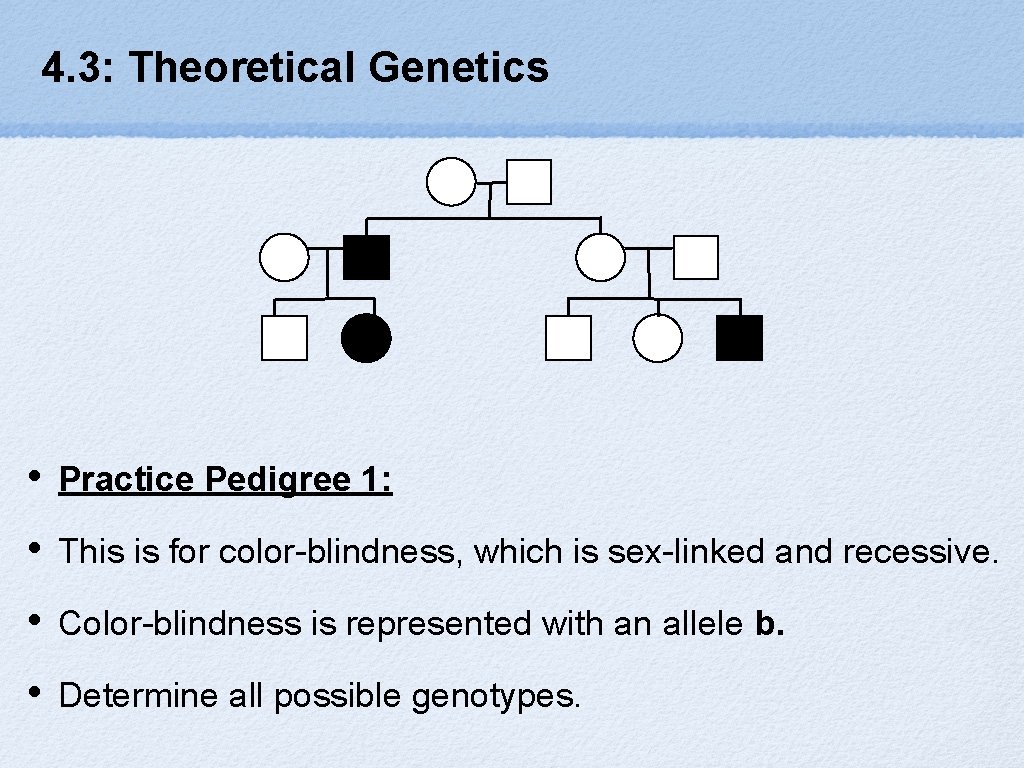 4. 3: Theoretical Genetics • Practice Pedigree 1: • This is for color-blindness, which