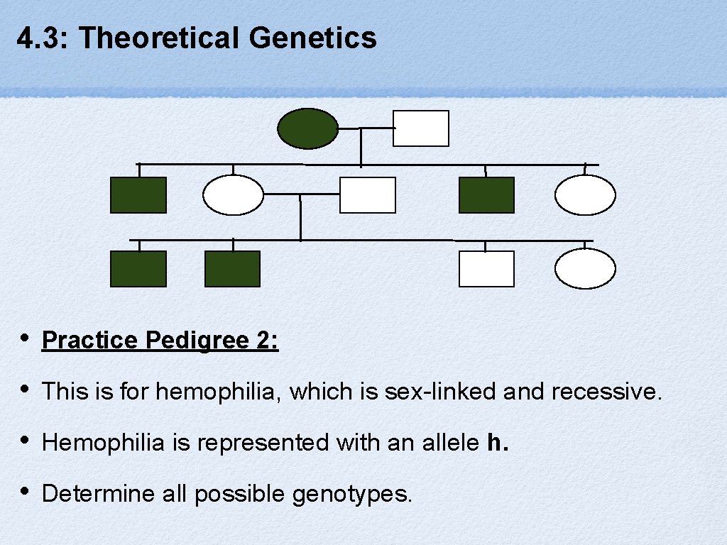 4. 3: Theoretical Genetics • Practice Pedigree 2: • This is for hemophilia, which