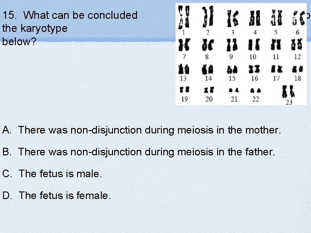 15. What can be concluded the karyotype below? from provided A. There was non-disjunction