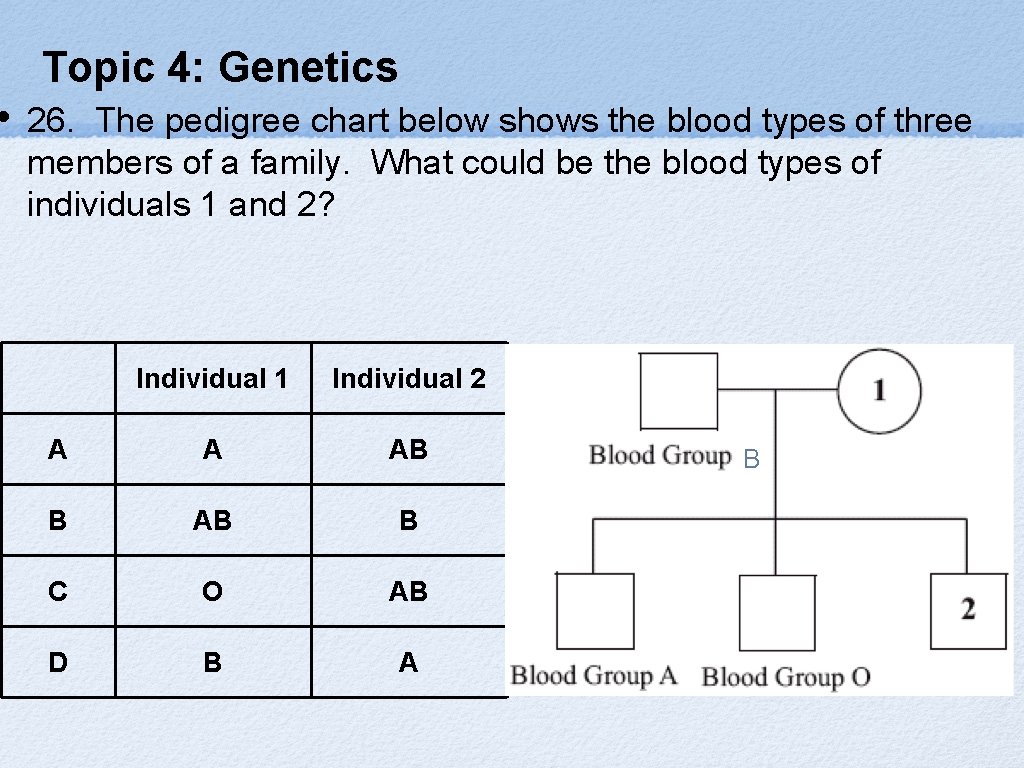  • Topic 4: Genetics 26. The pedigree chart below shows the blood types
