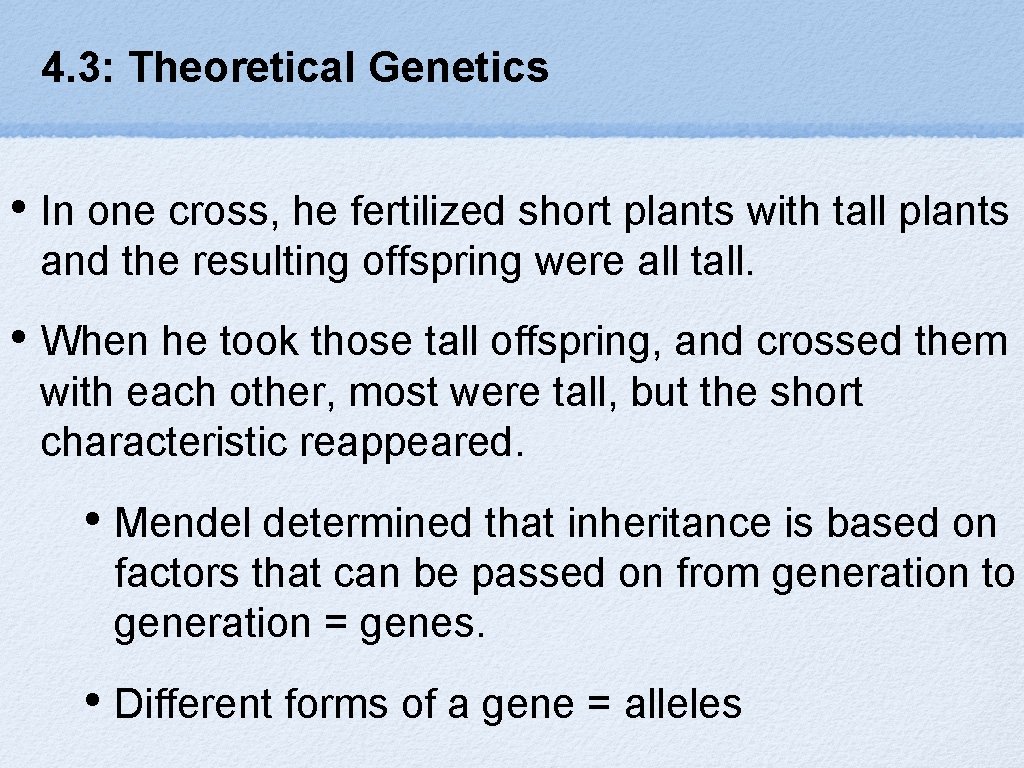 4. 3: Theoretical Genetics • In one cross, he fertilized short plants with tall