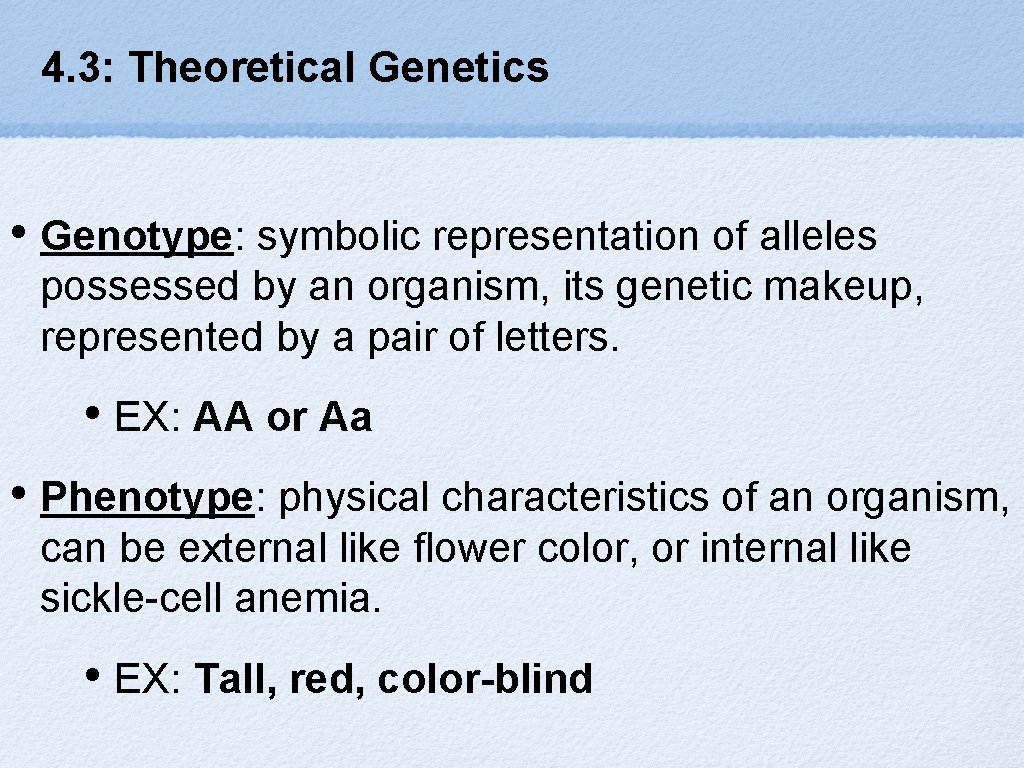 4. 3: Theoretical Genetics • Genotype: symbolic representation of alleles possessed by an organism,